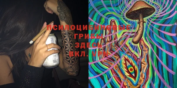 первитин Коряжма