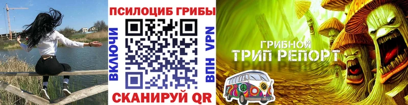 Галлюциногенные грибы GOLDEN TEACHER  Купить  Плёс 