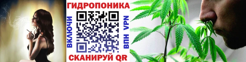 Марихуана ГИДРОПОН  Купить закладки  Плёс 